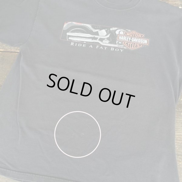 画像10: 【HARLWY-DAVIDSON ハーレーダビッドソン Tシャツ  NO.2405042】 (10)