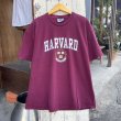 画像2: 【Lee カレッジTシャツ HARVARD NO2405213】 (2)