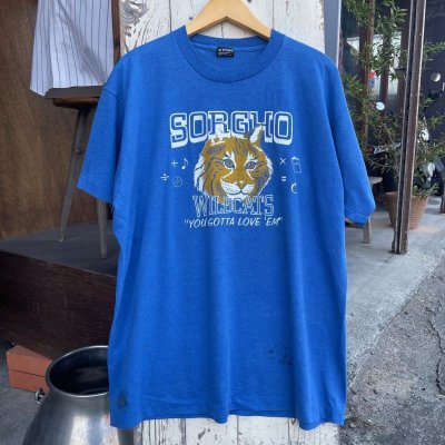 画像2: 【アメリカ製FRUIT OF THE LOOM Tシャツ WILDCATS NO2405211】