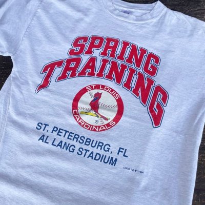 画像3: 【アメリカ製LOGO7 Tシャツ ST.LOUIS CARDINALS NO2405232】