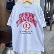 画像3: 【アメリカ製LOGO7 Tシャツ ST.LOUIS CARDINALS NO2405232】 (3)