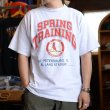 画像1: 【アメリカ製LOGO7 Tシャツ ST.LOUIS CARDINALS NO2405232】 (1)