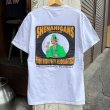 画像1: 【アメリカ製 Hanes BEEFY Tシャツ SHENANIGANS NO2405251】 (1)