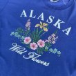 画像4: 【アメリカ製Lee Tシャツ ALASKA アラスカ ブルー × パープル NO.2407221】 (4)