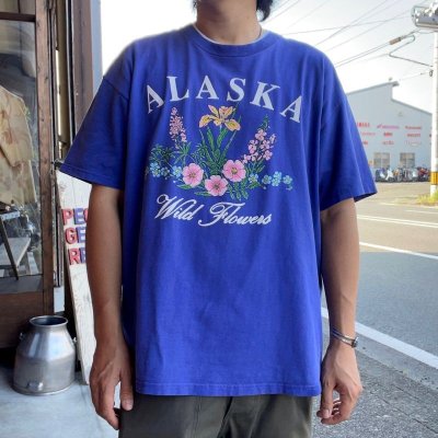 画像3: 【アメリカ製Lee Tシャツ ALASKA アラスカ ブルー × パープル NO.2407221】