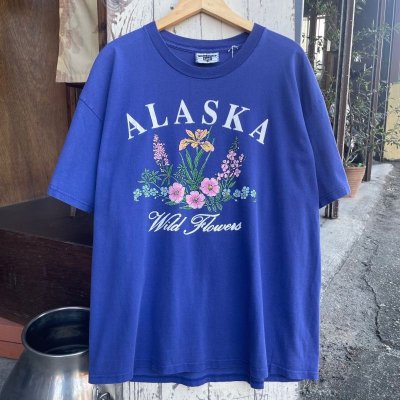 画像1: 【アメリカ製Lee Tシャツ ALASKA アラスカ ブルー × パープル NO.2407221】