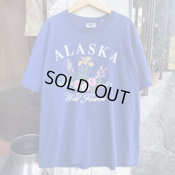 画像1: 【アメリカ製Lee Tシャツ ALASKA アラスカ ブルー × パープル NO.2407221】 (1)