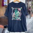 画像1: 【アメリカ製SOFTEE Tシャツ ARIZONA NO2505022】 (1)
