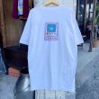 画像2: 【カナダ製FRUIT OF THE LOOM Tシャツ ベースボール柄 NO25005021】 (2)