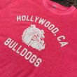 画像6: 【BARNS プリントＴシャツ BULLDOGS（ピンク/ホワイト）】 (6)