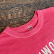 画像4: 【BARNS プリントＴシャツ BULLDOGS（ピンク/ホワイト）】 (4)
