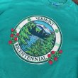 画像6: 【アメリカ製Hanes ヘインズTシャツ VERMONT NO2507181】 (6)