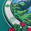 画像8: 【アメリカ製Hanes ヘインズTシャツ VERMONT NO2507181】 (8)