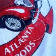 画像8: 【アメリカ製BANTAM フットボールT 1985 ROD RUN NO2508151】 (8)